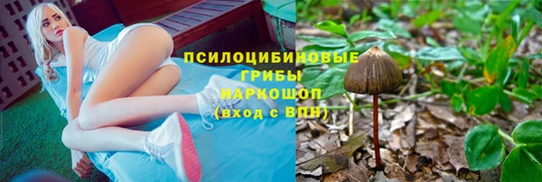 MESCALINE Богородицк